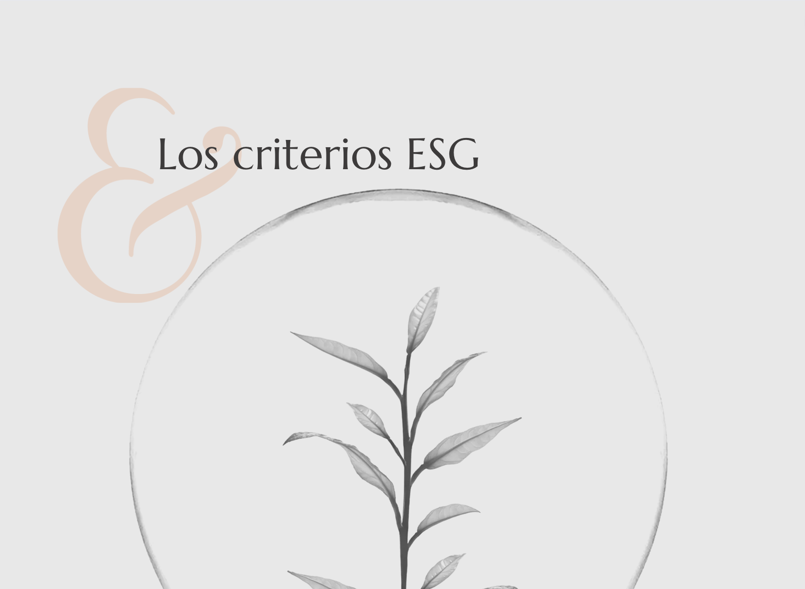 Los criterios ESG: Environmental, Social, Governance